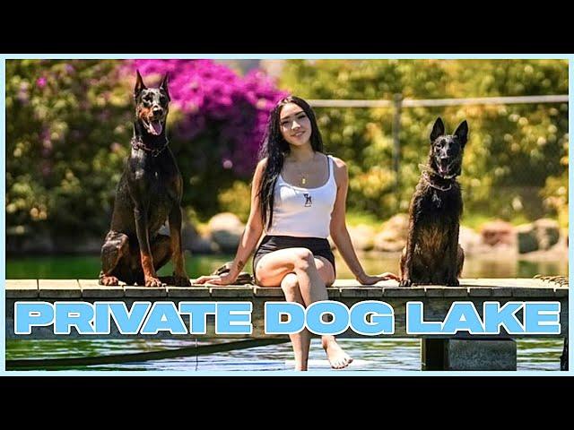 I RENTED A PRIVATE LAKE FOR MY DOGS