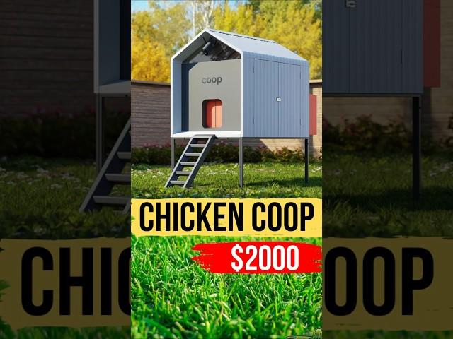 A SMART CHICKEN COOP FOR THE BACKYARD. #coop #chicken #chickencoop #build #coopbuilding