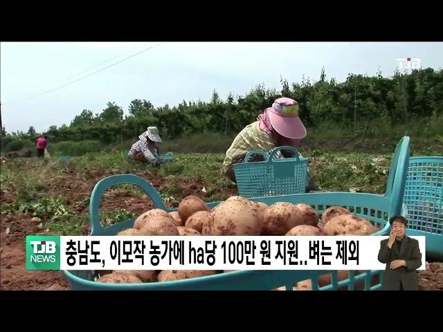 충남도, 이모작 농가에 ha당 100만 원 지원..벼는 제외 ｜ TJB 대전·세종·충남뉴스