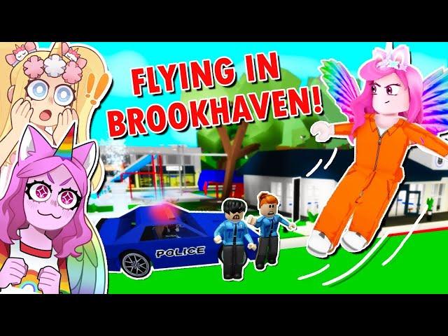 I Tried The NEW FLYING HACK In Brookhaven With SANNA! (Roblox)