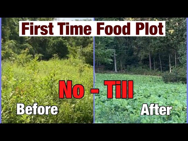 No Till - First Time Food Plot