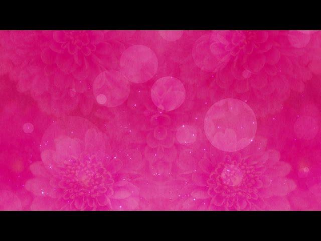 Pink Floral Bokeh - HD Video Background Loop