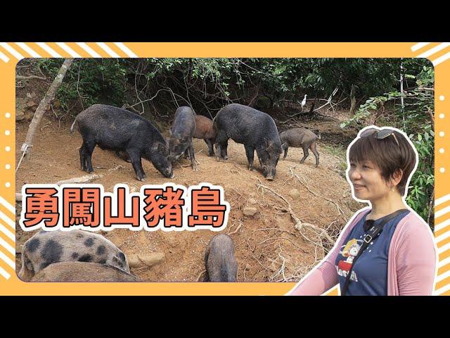 Tainan attractions: Zengwen Reservoir Sightseeing Yacht | Bravely Climbing Mountain Pig Island