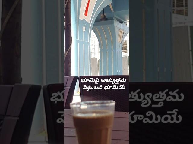 tea at Tirupati with telugu real estate quotes #shorts #teluguquotes #telugurealestate#viral