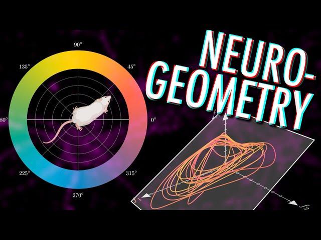 Neural manifolds - The Geometry of Behaviour