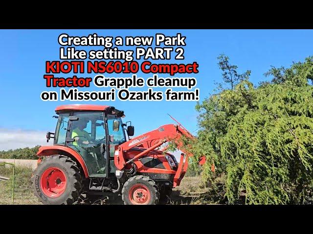 Tractor grapple project-Freeing Towering Oak trees from overgrown jungle! PT 2