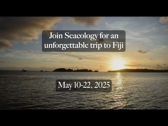 Travel to Fiji with Seacology!