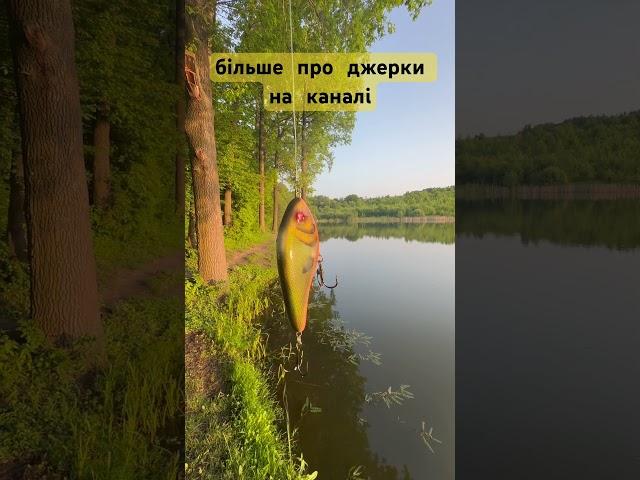 Щука на бігбейти #pikefishing #pike