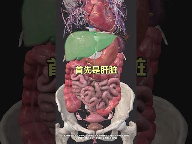 教你了解女性脏器，看懂才知道哪里不舒服 #医学科普 #医疗健康创作训练营 #抖出健康知识宝藏 #关爱女性健康 #全民健康素养提升