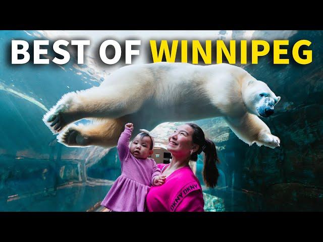 Exploring Winnipeg Manitoba's BEST! Top Things to Do in Canada's Friendliest City