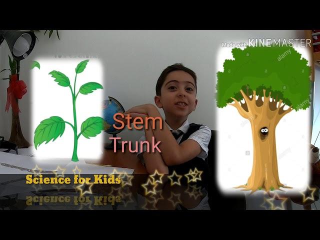 Plants - Science for kids show