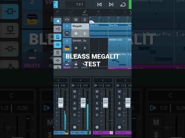 BLEASS MEGALIT TEST