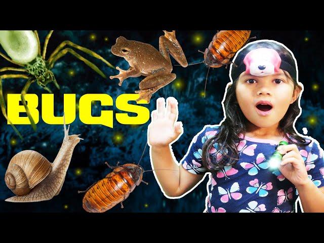NIGHTTIME BUG HUNT ACTIVITY ADVENTURE PRETEND PLAY INSECTS KIDS OUTDOOR FUN