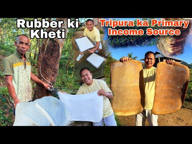 How Tripura Farmers are becoming Millionaires ? Tripura ka Rubber ki kheti | How The Tribal survive