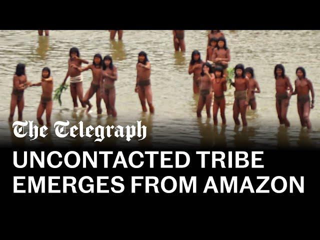 Rare footage of largest uncontacted tribe in the world shows 'disaster in the making'