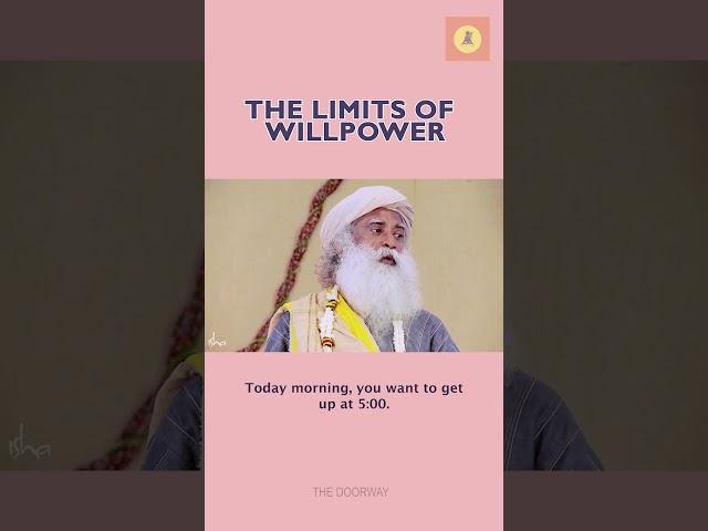 When passion replaces willpower. #sadhguru #ishafoundation # wisdom