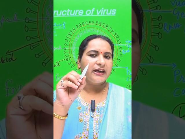 Structure of Virus# shorts#biology# class11 & 12# neet#rpscexam