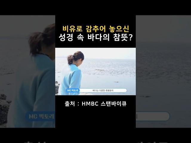비유로 감추어진 성경속 바다의 참뜻은? │ HMBC 스탠바이큐