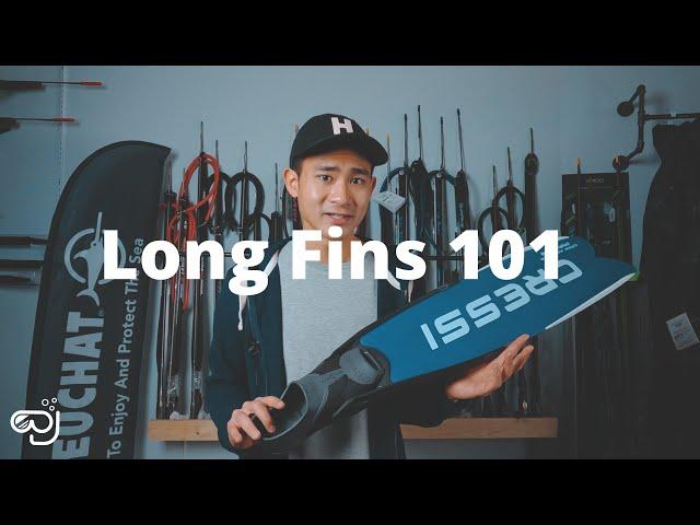 Spearfishing and Freediving Fins 101