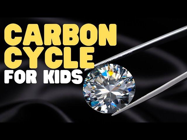 Carbon Cycle for Kids | Learn all about why carbon is vital to life on Earth