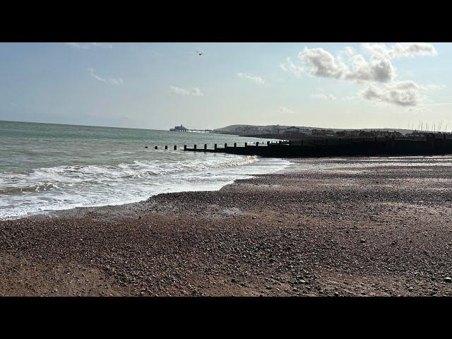 Eastbourne, East Sussex, England #solotravel #seagulls #beach #natureengland #seafront #solotraveluk