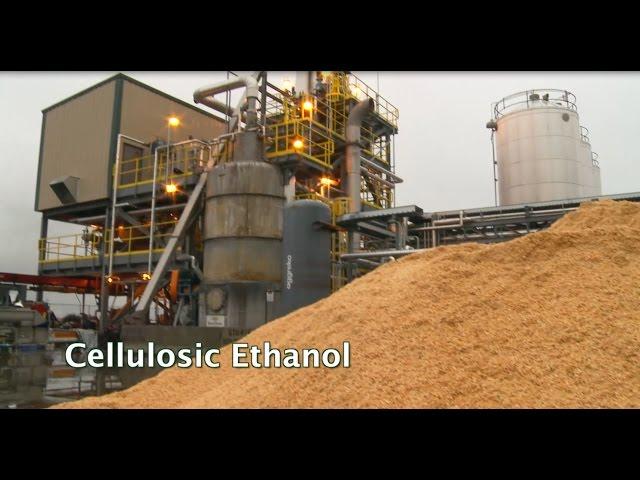 Renewable Biofuels and Biochemicals: Cellulosic Ethanol