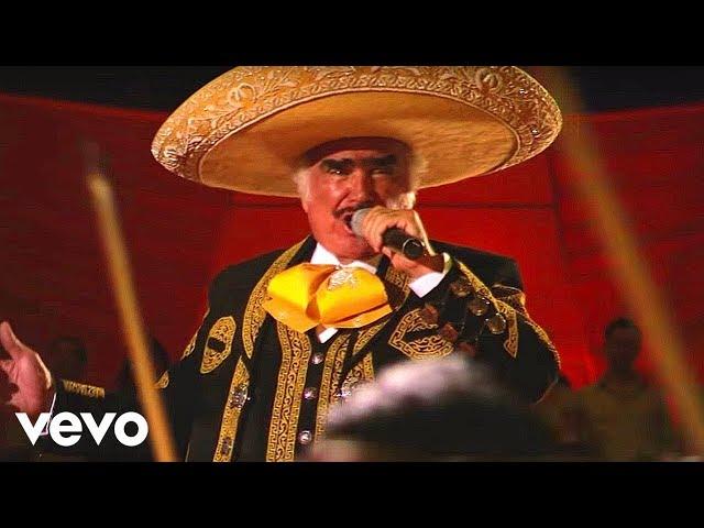 Vicente Fernández - Hermoso Cariño (En Vivo)