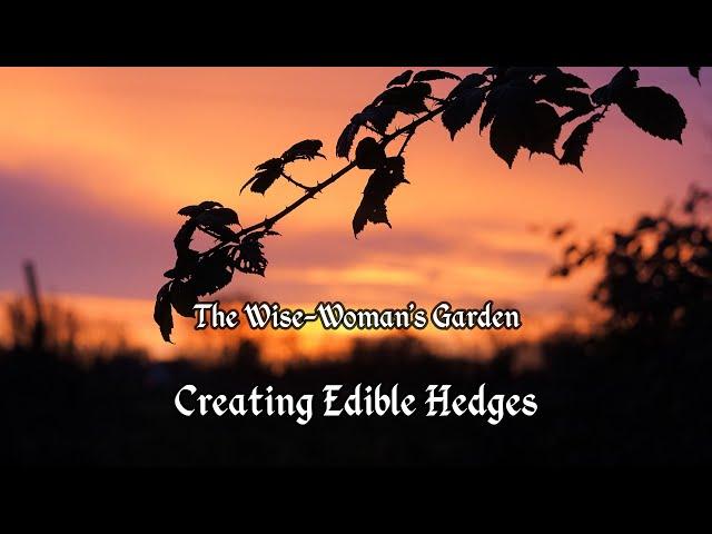 Creating Edible Hedges - The Wise-Woman's Garden