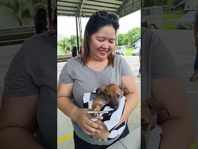 Who let the dogs out? #doglover #pets #antirabiesvaccine #antirabies #pambansangkonsehal