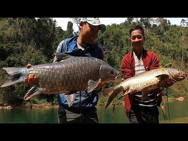 Lancer fishing catches big fish - SUPER HEALTHY fish in Vietnamese rivers | January 22, 2024