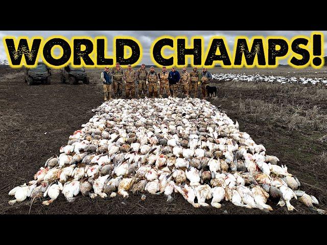 Snow Goose WORLD CHAMPS! - 473 Geese Killed!