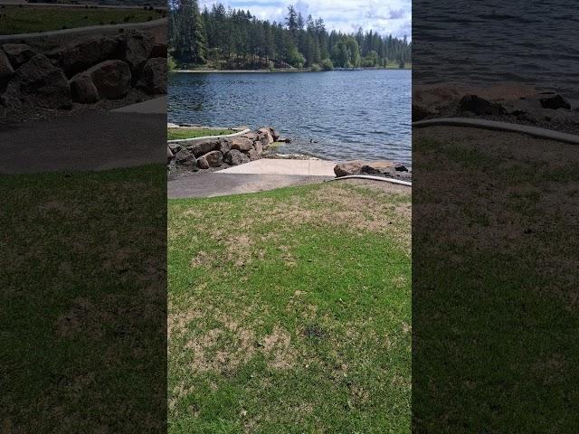 Bear Lake- Spokane County (Washington State) #nocopyrightsound #outdoors