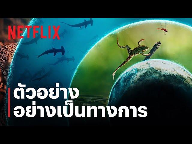 โลกที่เราอยู่ (Our Living World) | เคท แบลนเช็ตต์ | ตัวอย่างสารคดีอย่างเป็นทางการ | Netflix