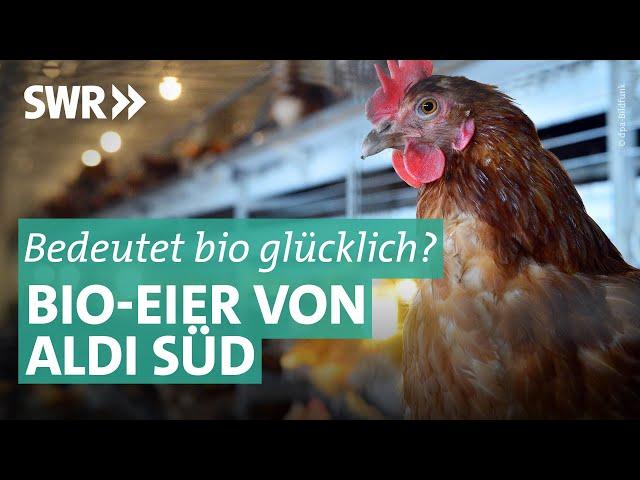 Bioeier von ALDI Süd: Die Lüge von glücklichen Hühnern | Marktcheck SWR