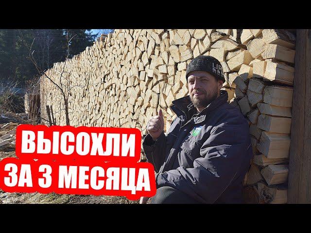 ВСЁ о заготовке дров в ОДНОМ ВИДЕО! От распиловки бревна до сухого полена