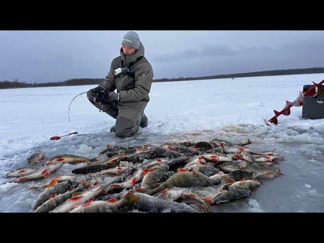 ТОННЫ РЫБЫ ВМЕСТО ДНА! РЫБАЛКА МЕЧТЫ! Рыбалка по первому льду с подводной камерой!