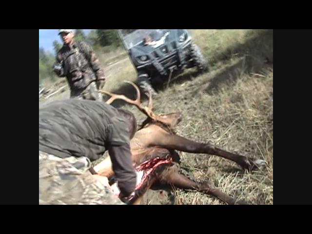 Nigels 1st Rocky Mountain Bull Elk 6 x 6