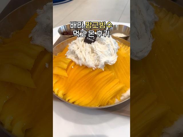 89,000원 배라 망고빙수 털어본 후기.mp4