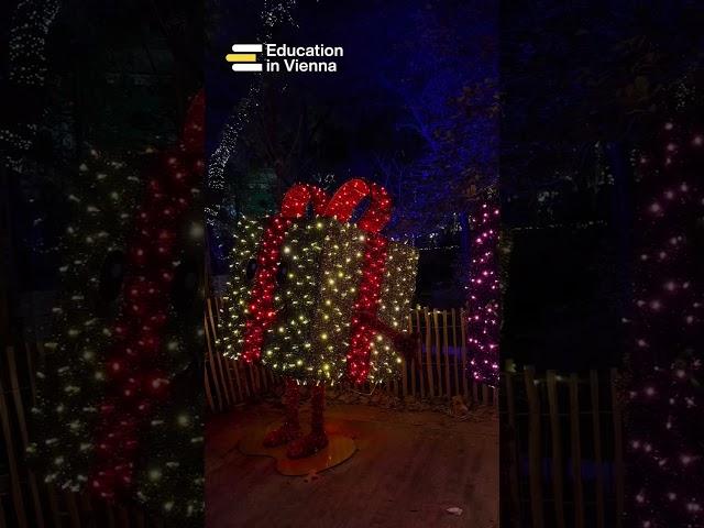 Католическое Рождество в Вене. Рождественские ярмарки в Австрии