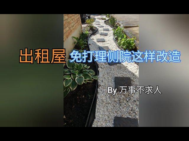 出租屋免打理侧院这样改造 花园小径 多年生植物 耐寒 抗旱