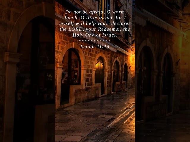 Bible | Isaiah 41:14 | Do not be afraid O worm Jacob ...