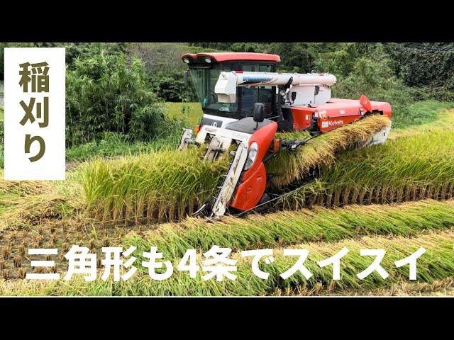 【稲刈り】小さな三角形の田んぼも4条でスイスイ！