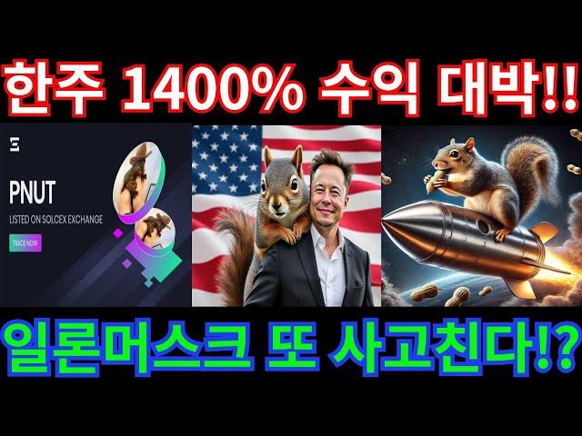 솔라나 밈코인 또 대박??한주 1400%수익성공!! 일론머스크 함께가보자!!