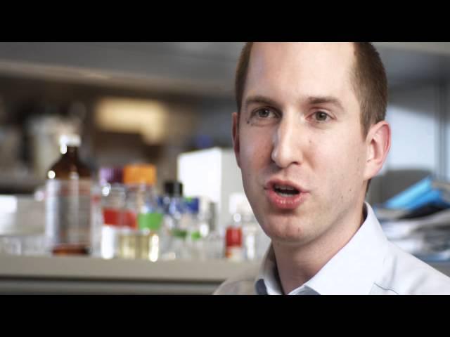 Douglas Baumann, PhD Candidate in Chemical & Biomedical Engineering