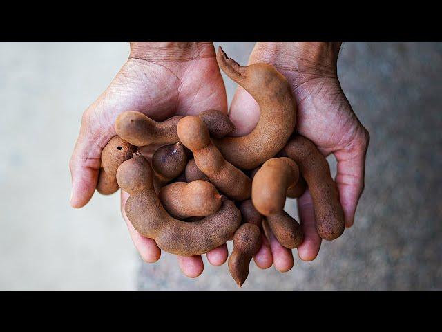 Why TAMARIND JUICE is the BEST for FASTING | Let's talk Benefits