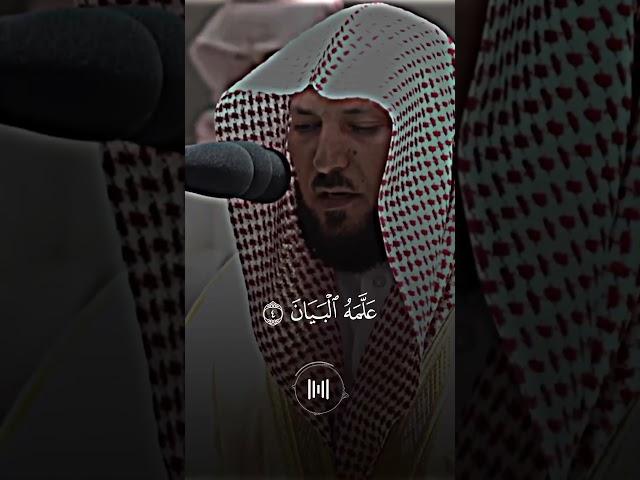 الرحمن علم ‏القرآن خلق الإنسان علمه البيان #تلاوة_خاشعة ￼
