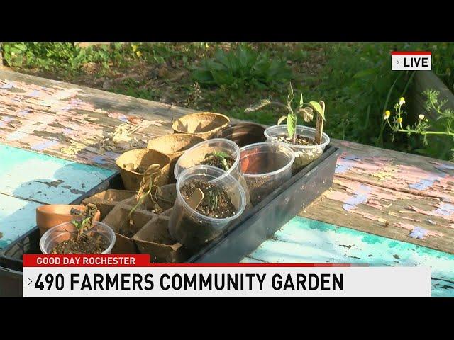 ARC Rochester 6/16/2025 (490 Farmers Community Garden)