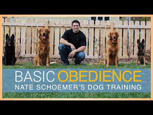 Basic Obedience Dog Training Course - FULL COURSE FREE on YouTube!