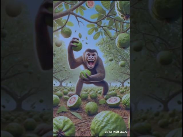 THE STORY OF A MONKEY WHO WAS BEATEN BY CATS #cuteanimals #catshorts #monkey#animals #trending#short