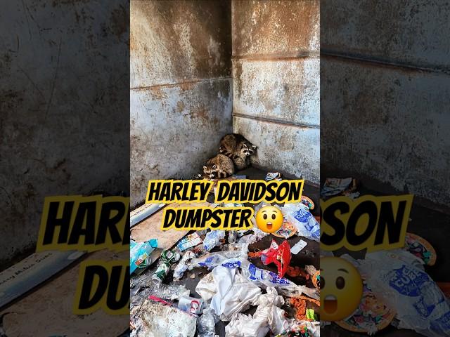 I went to Harley Davidsons dumpster and  found animals! #harleydavidson #animals #dumpsterdiving